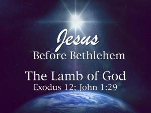 2014-12-07 The Lamb of God
