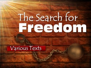2015-07-05 The Search for Freedom
